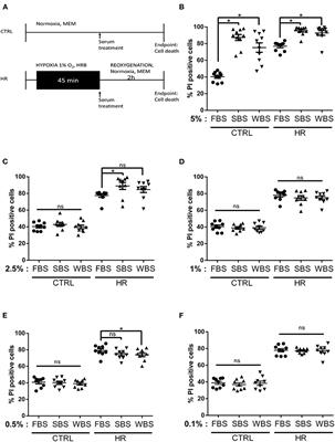 Cardiomyocyte Protection by Hibernating Brown Bear Serum: Toward the Identification of New Protective Molecules Against Myocardial Infarction